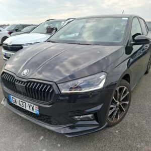 Škoda Fabia Monte Carlo 1.0 TSI 115 CV DSG – 2024 – 17.000 km