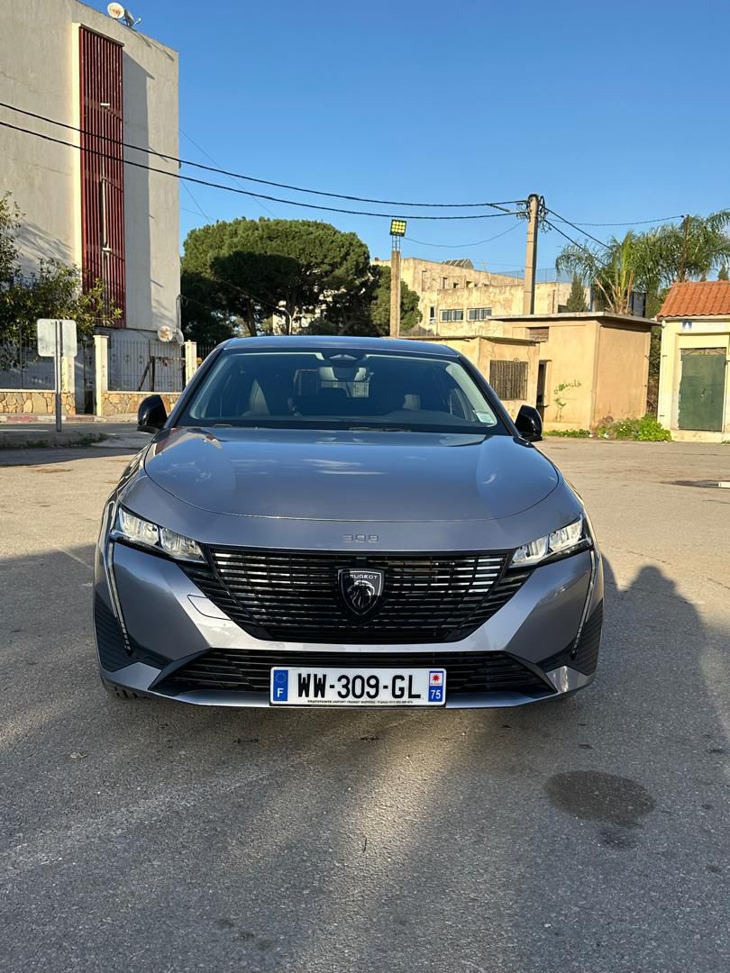 Peugeot 308 BlueHDi 130 EAT8 (P5, 2.0 Diésel, Automático 8 Velocidades) - Imagen 16